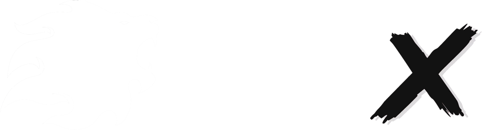 LionX